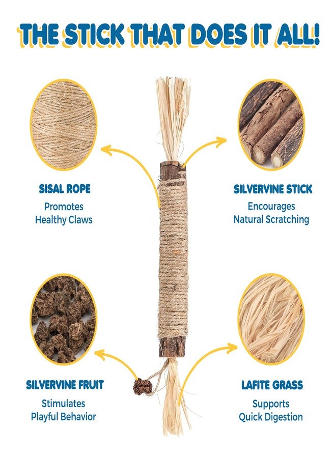 SunGrow Silvervine Sticks with Gall Fruit for Cats, Delicious Pet Snack for Kittens, Rabbits, Dogs, Oral Care Companion, Teething Chews, Chewing Treats with Bell, 7.7” (h) x 0.8 “(w), 5 Pieces - Image 5